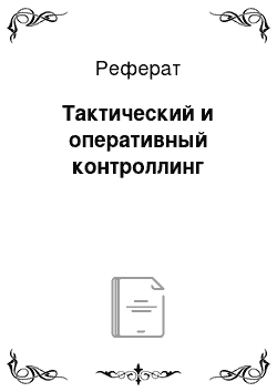 Реферат: Тактический и оперативный контроллинг