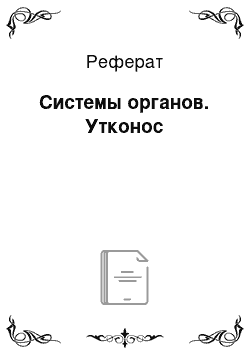 Реферат: Системы органов. Утконос