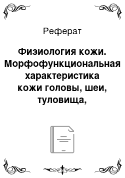 Реферат: Физиология кожи. Морфофункциональная характеристика кожи головы, шеи, туловища, конечностей