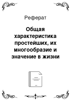 Реферат: Общая характеристика простейших, их многообразие и значение в жизни человека