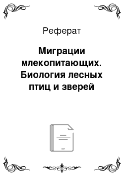 Реферат: Миграции млекопитающих. Биология лесных птиц и зверей