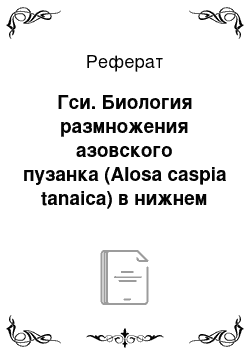 Реферат: Гси. Биология размножения азовского пузанка (Alosa caspia tanaica) в нижнем течении реки Кубань