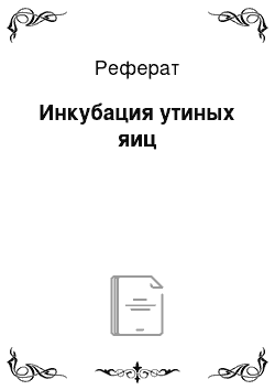 Реферат: Инкубация утиных яиц