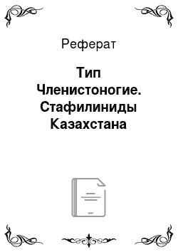 Реферат: Тип Членистоногие. Стафилиниды Казахстана