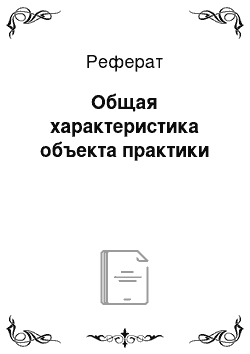 Реферат: Общая характеристика объекта практики