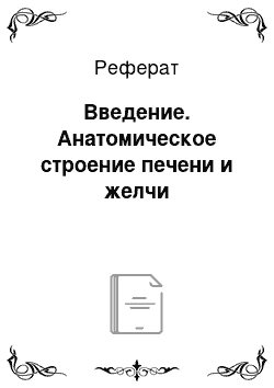 Реферат: Введение. Анатомическое строение печени и желчи