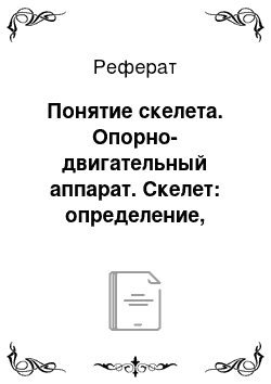 Реферат: Понятие скелета. Опорно-двигательный аппарат. Скелет: определение, функции и его фило-онтогенез. Строение кости как органа. Классификация костей