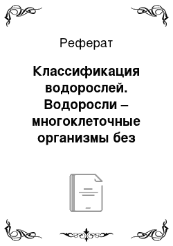 Реферат: Классификация водорослей. Водоросли – многоклеточные организмы без настоящих тканей