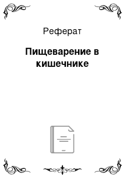 Реферат: Пищеварение в кишечнике