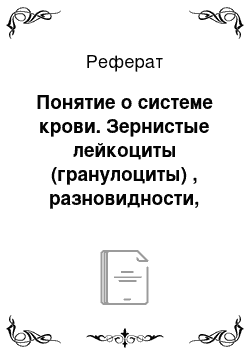 Реферат: Понятие о системе крови. Зернистые лейкоциты (гранулоциты) , разновидности, строение, функции, продолжительность жизни