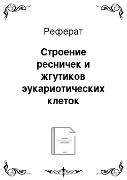 Реферат: Строение ресничек и жгутиков эукариотических клеток