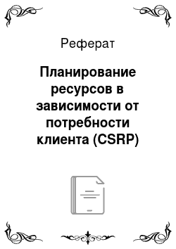 Реферат: Планирование ресурсов в зависимости от потребности клиента (CSRP)