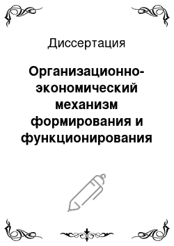 Диссертация: Организационно-экономический механизм формирования и функционирования региональной инновационной системы