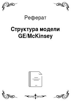 Реферат: Структура модели GE/McKinsey