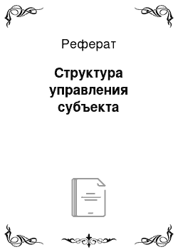 Реферат: Структура управления субъекта