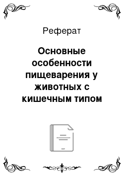 Реферат: Основные особенности пищеварения у животных с кишечным типом пищеварения