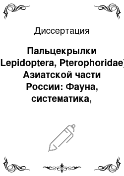 Диссертация: Пальцекрылки (Lepidoptera, Pterophoridae) Азиатской части России: Фауна, систематика, зоогеография