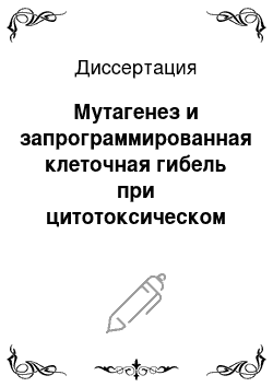 Диссертация: Мутагенез и запрограммированная клеточная гибель при цитотоксическом воздействии хлорида цинка