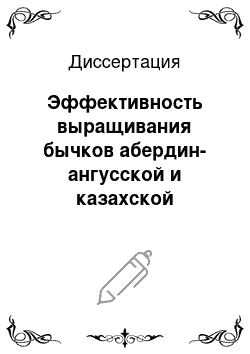 Диссертация: Эффективность выращивания бычков абердин-ангусской и казахской белоголовой пород на мясо в условиях Нижнего Поволжья