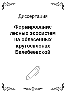 Диссертация: Формирование лесных экосистем на облесенных крутосклонах Белебеевской возвышенности