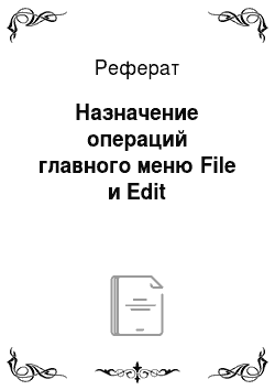 Реферат: Назначение операций главного меню File и Edit