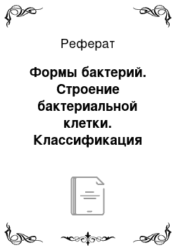 Реферат: Формы бактерий. Строение бактериальной клетки. Классификация бактерий по морфологическим признакам