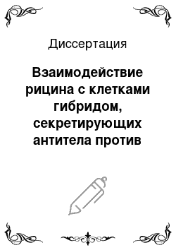 Диссертация: Взаимодействие рицина с клетками гибридом, секретирующих антитела против его каталитической субъединицы