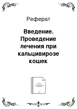 Реферат: Введение. Проведение лечения при кальцивирозе кошек