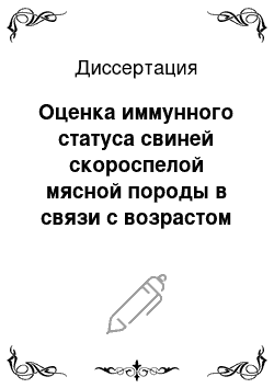 Диссертация: Оценка иммунного статуса свиней скороспелой мясной породы в связи с возрастом и продуктивностью