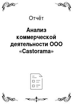 Отчёт: Анализ коммерческой деятельности ООО «Castorama»