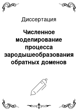 Диссертация: Численное моделирование процесса зародышеобразования обратных доменов в одноосных высокоанизотропных магнетиках