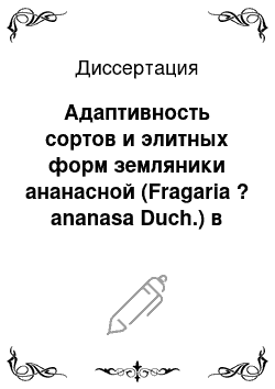 Диссертация: Адаптивность сортов и элитных форм земляники ананасной (Fragaria ? ananasa Duch.) в низкогорье Алтая