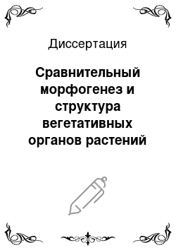 Диссертация: Сравнительный морфогенез и структура вегетативных органов растений хозяйственно ценных видов рода Oenothera L