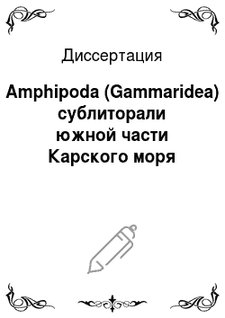 Диссертация: Amphipoda (Gammaridea) сублиторали южной части Карского моря