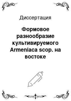 Диссертация: Формовое разнообразие культивируемого Armeniaca scop. на востоке Оренбургского Приуралья