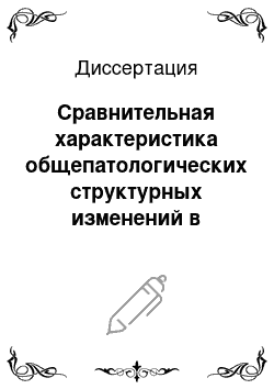 Диссертация: Сравнительная характеристика общепатологических структурных изменений в веществе головного мозга по данным магнитно-резонансного и морфологического исследования