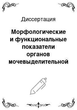 Диссертация: Морфологические и функциональные показатели органов мочевыделительной системы нутрий в постнатальном онтогенезе