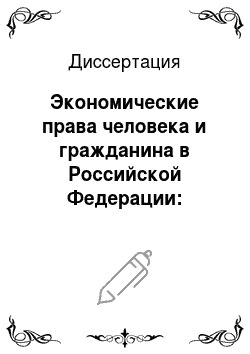 Диссертация: Экономические права человека и гражданина в Российской Федерации: конституционно-правовое исследование