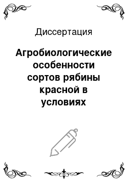 Диссертация: Агробиологические особенности сортов рябины красной в условиях Свердловской области