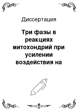 Диссертация: Три фазы в реакциях митохондрий при усилении воздействия на организм