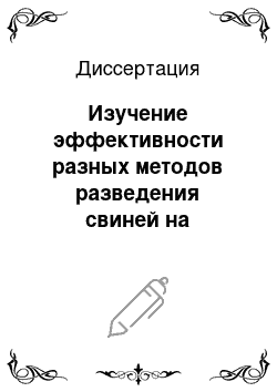 Диссертация: Изучение эффективности разных методов разведения свиней на промышленной основе в агрофирме «Дороничи»