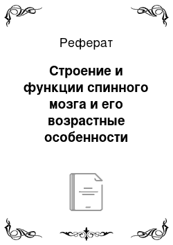 Реферат: Строение и функции спинного мозга и его возрастные особенности