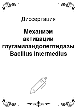 Диссертация: Механизм активации глутамилэндопептидазы Bacillus intermedius
