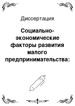 Диссертация: Социально-экономические факторы развития малого предпринимательства: Инвестиционный аспект