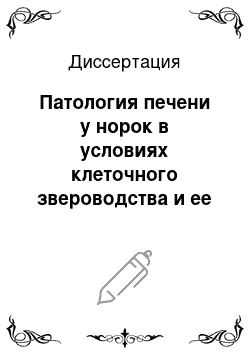 Диссертация: Патология печени у норок в условиях клеточного звероводства и ее коррекция природным сорбентом