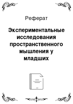 Реферат: Экспериментальные исследования пространственного мышления у младших школьников с дизартрией