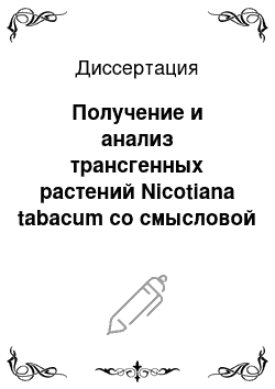 Диссертация: Получение и анализ трансгенных растений Nicotiana tabacum со смысловой и антисмысловой формами агробактериальных генов ipt и iaaM