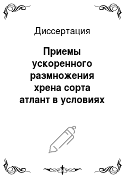 Диссертация: Приемы ускоренного размножения хрена сорта атлант в условиях Приморского края