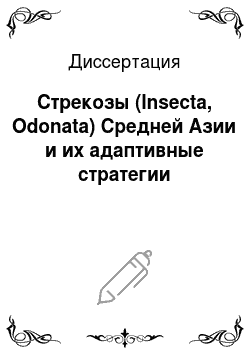 Диссертация: Стрекозы (Insecta, Odonata) Средней Азии и их адаптивные стратегии