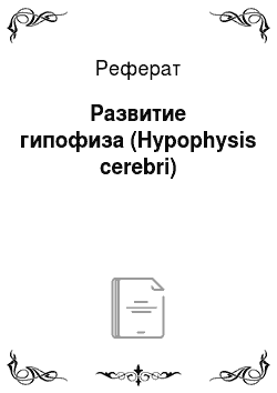 Реферат: Развитие гипофиза (Hypophysis cerebri)